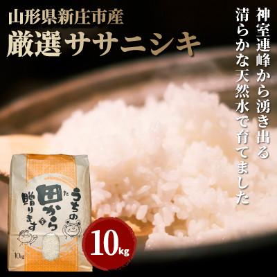 ふるさと納税 新庄市 令和7年　厳選ササニシキ(精米)10kg