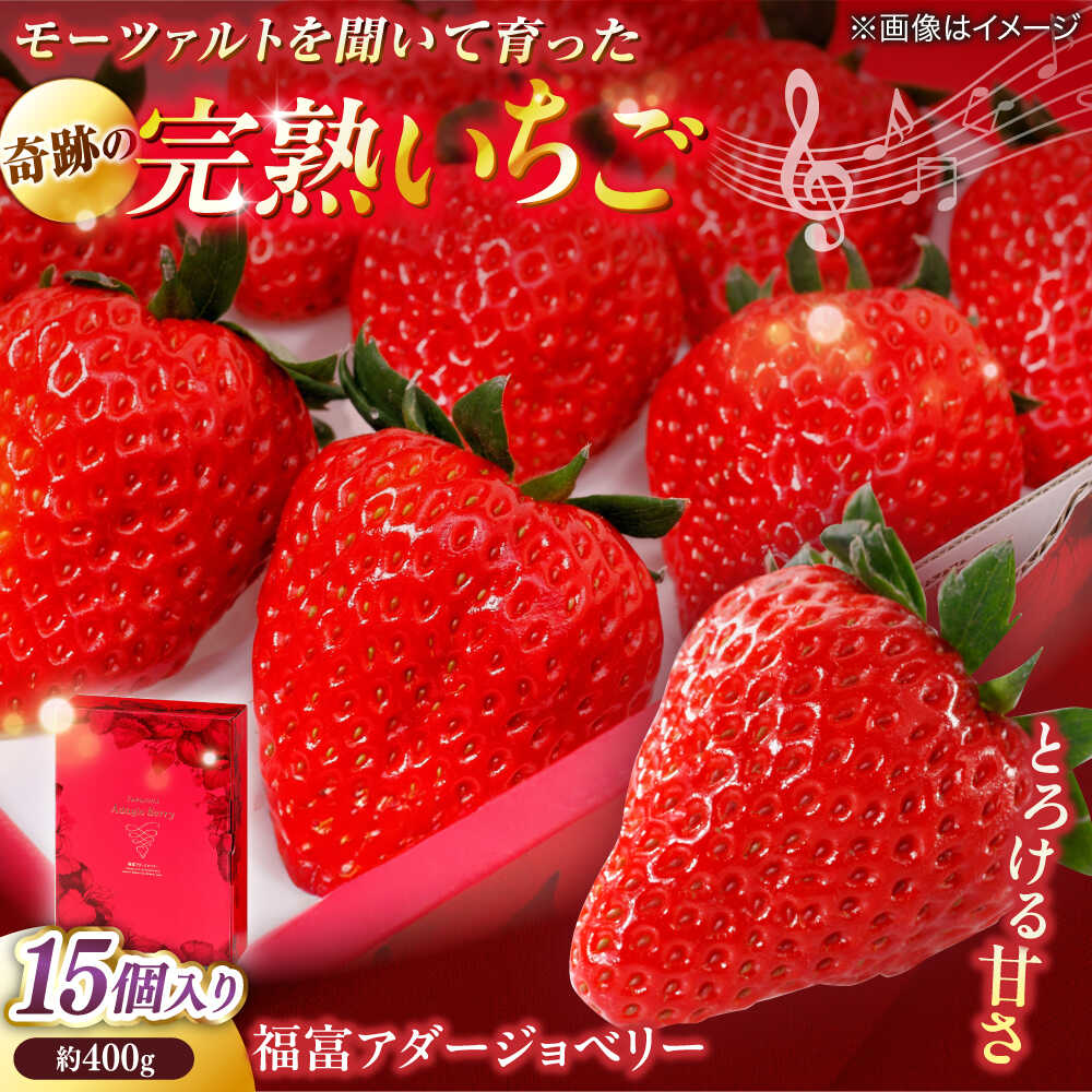 【ふるさと納税】【数量限定100セット】島根県松江市「のつ農園」　完熟いちご「福富アダージョベリー」　15個入り 島根県松江市/山陰中央テレビジョン放送株式会社[ALFI004]