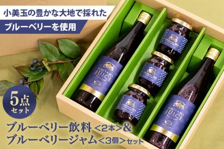 果汁50％ブルーベリー飲料2本＆ブルーベリージャム3個セット ブルーベリー ジュース ジャム ブルーベリージャム ブルーベリージュース フルーツ ビタミンE ドリンク 栄養 目にいい 美容 ギフト 贈り物 茨城県産 セット 詰め合わせ お祝い 美味しい 9-G