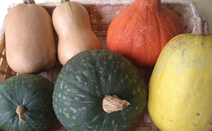 2ヶ月 定期便 瀬戸内「旬」のお野菜セット 7～11品目程度の詰合せ 野菜 農薬 化学肥料 除草剤不使用 岡山 M’s farm