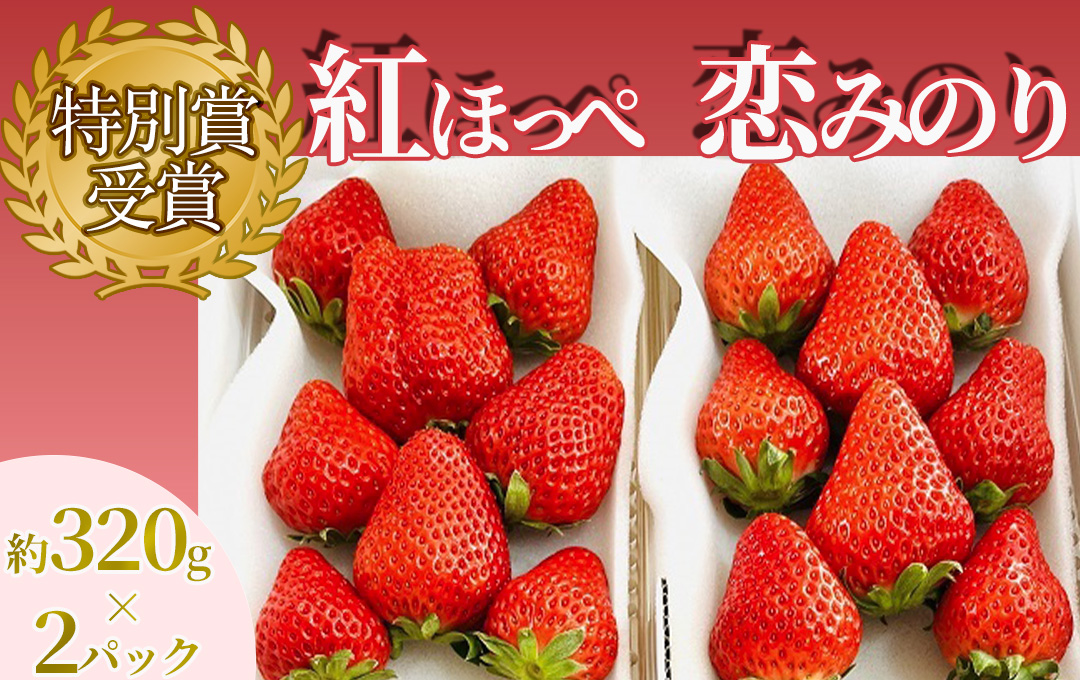 【予約受付】特別賞受賞！ご自宅用いちごBabyBerryFarm　300g以上2パック　紅ほっぺ いちご 果物 フルーツ 苺 イチゴ くだもの 静岡県産 期間限定　<A-2>