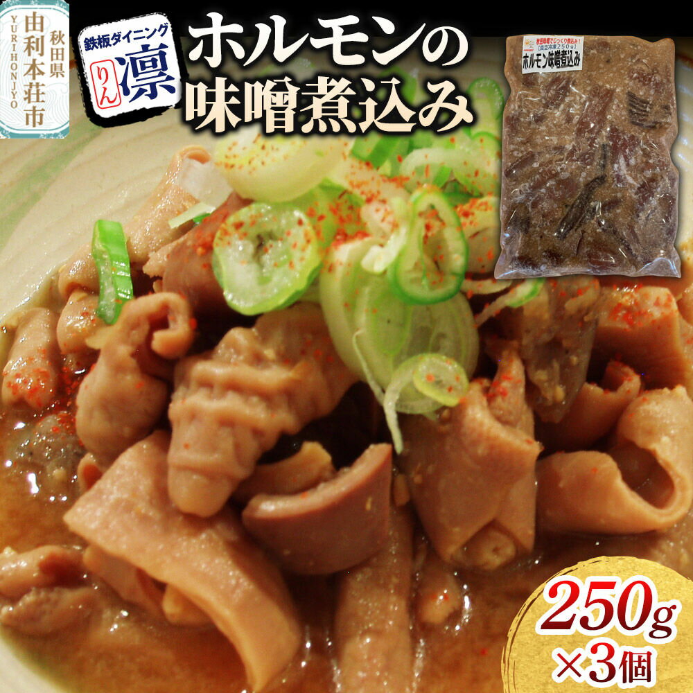 【ふるさと納税】ホルモンの味噌煮込み 250g×3個セット [惣菜 総菜 レトルト おつまみ おかず 煮込み お手軽 温めるだけ 簡単調理 冷凍]