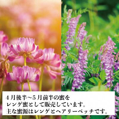 ふるさと納税 瀬戸内市 瀬戸内市産 レンゲはちみつ×1本と 百花はちみつ×1本のセット 石黒農園[No.5735-1643] |  | 02