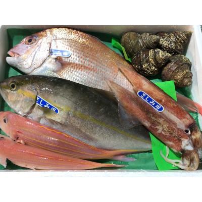 ふるさと納税 八幡浜市 竹中水産の八幡浜発!「魚好きにはたまらない!鮮魚BOX」【F22-135】 |  | 03
