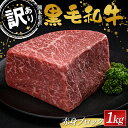 【ふるさと納税】 ≪数量限定≫熊本県産黒毛和牛 赤身ブロック1kg（500g×2） 訳あり 部位お任せ 不揃い FKK19-896