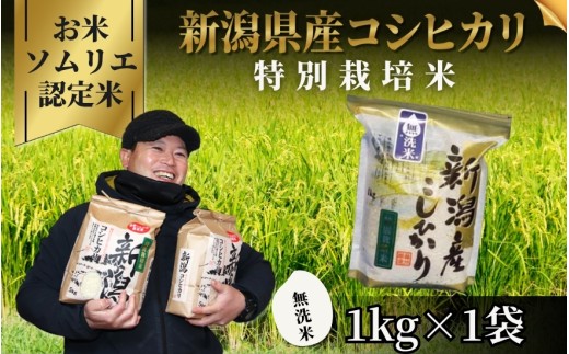 【先行予約】令和8年産【お米ソムリエのお米】無洗米 コシヒカリ 1kg 新潟県 五泉市 エバーグリーン農場