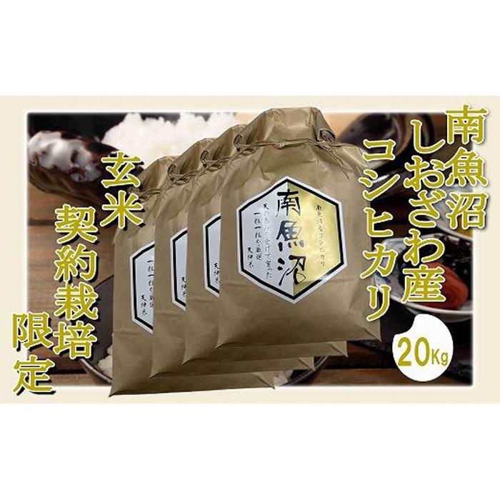 【ふるさと納税】【令和7年産】【玄米20Kg】●玄米● 生産者限定 南魚沼しおざわ産コシヒカリ【2025年10月上旬より順次発送予定】 | お米 こめ 食品 コシヒカリ 人気 おすすめ 送料無料 魚沼 南魚沼 南魚沼市 新潟県 玄米 産直 産地直送 お取り寄せ