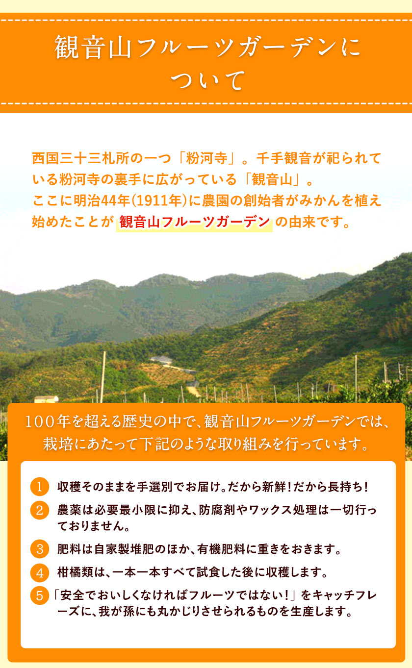 観音山フルーツ詰め合わせ(プラチナ) 約7kg 有限会社柑香園 《60日以内に出荷予定(土日祝除く)》 和歌山県 紀の川市 フルーツ 果物