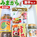 【ふるさと納税】薬味 みまから 激辛セット 工房ロマン《30日以内に出荷予定(土日祝除く)》徳島県 美馬市 みまから 特産品 美馬市産 青唐辛子 唐辛子 冷奴 ラーメン お鍋 薬味みまから うまからみそ ちりめんみそ 焼肉たれ激辛