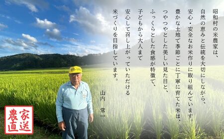 昭和村産米「ひとめぼれ」玄米5kg 米 精米 ヒトメボレ ひとめぼれ お米 こめ コメ 5kg 白米 ご飯 おすすめ お中元 お歳暮 ギフト 昭和村 ふくしま 福島県 送料無料【山内常一】