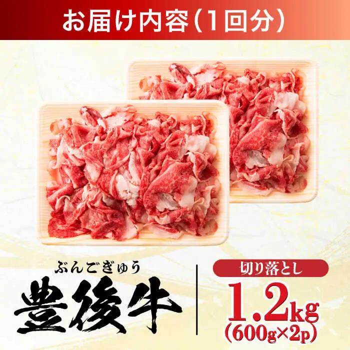 【全12回定期便】【大容量パック！】 おおいた豊後牛 牛肉 切り落とし 1.2kg (600g×2)  牛肉切り落とし 豊後牛[AREI049]