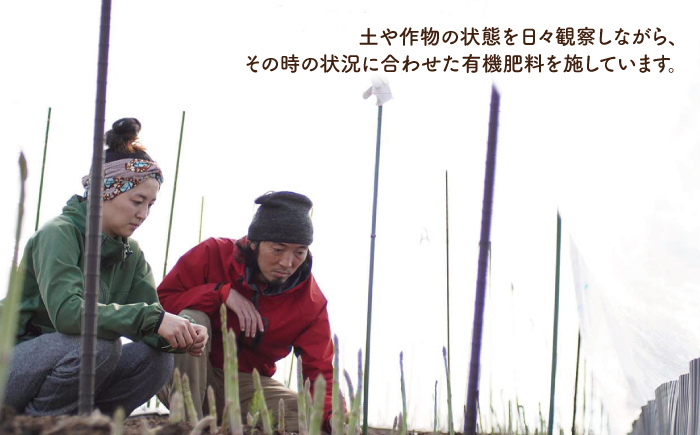 【3月上旬以降発送！】TVでも紹介！サイズが豊富で食卓楽しい！ アスパラガス 1kg＜坂井農園＞那珂川市 野菜 [GBP001]
