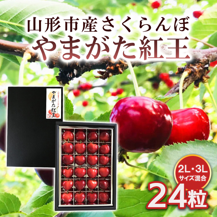 山形市産 さくらんぼ 【やまがた紅王】 2L/3Lサイズ混合 24粒