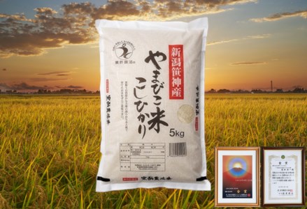 【令和7年産新米予約】コシヒカリ「やまびこ米」15kg(5kg×3袋) 玄米黒酢農法 金賞受賞 特別栽培米 白米 精米 農家直送 10月中旬より順次発送予定 1P05041