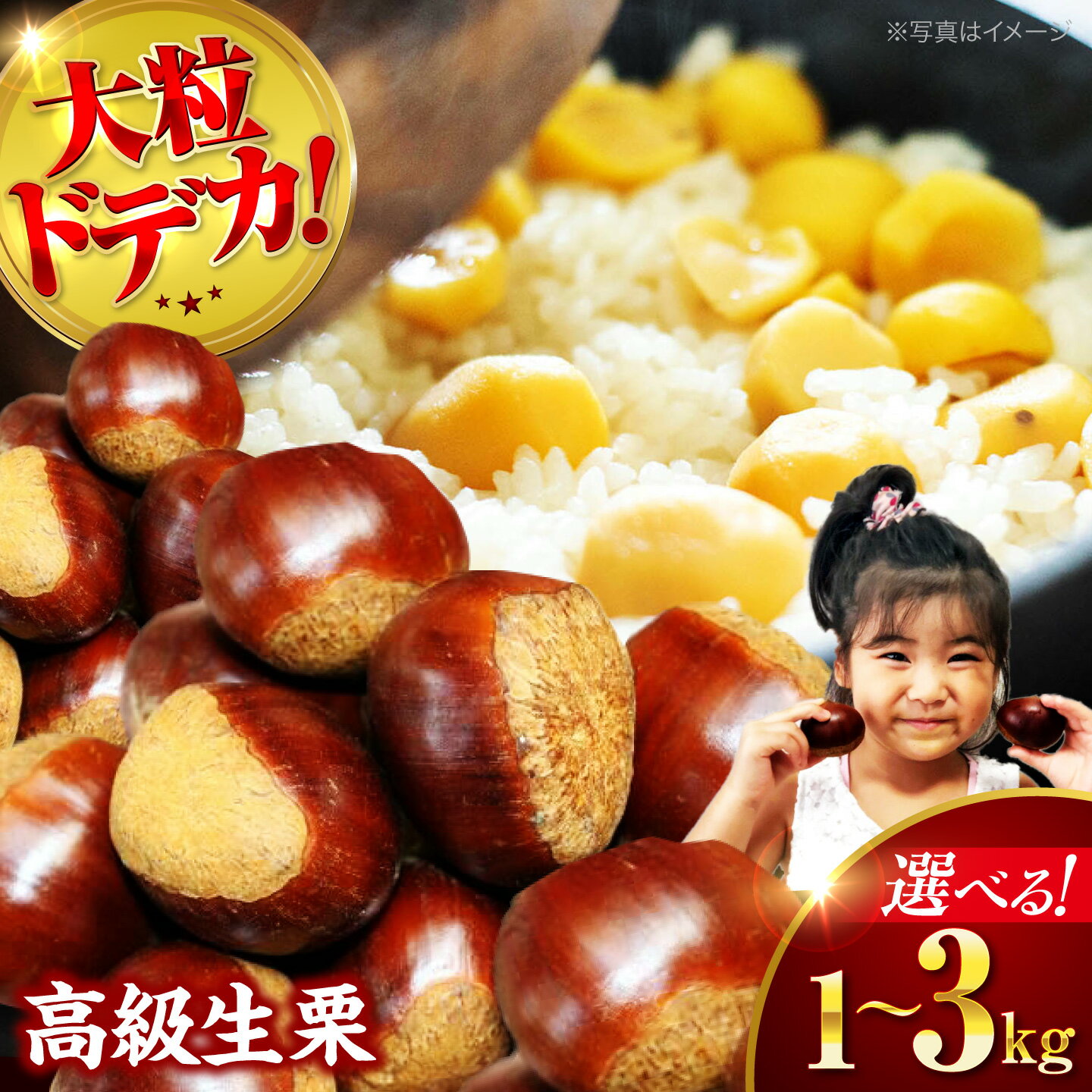 【ふるさと納税】生栗 【先行予約】【2026年9月下旬から配送開始】【選べる容量】ドデカ 生栗 1kg～3kg（ 1kg：約 25 個 〜 30 個 ） 大洲市/有限会社西山青果 [AGAR004] 栗 クリ くり 栗ご飯 くだもの 果物 フルーツ ふるーつ おすすめ 人気 お取り寄せ 送料無料 大洲市