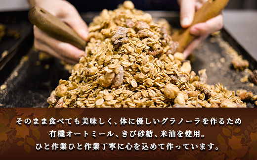 【FRUCTUS】カカオグラノーラ 250g FR003-2
