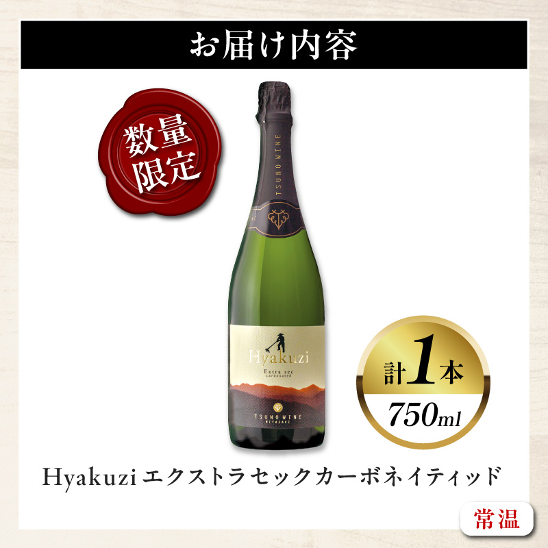 【数量限定】Hyakuzi エクストラセック カーボネイティッド(計1本)_T014-007【酒 飲料 アルコール 国産 人気 ギフト 食品 お酒 BBQ お土産 限定品 贈り物 送料無料 プレゼント