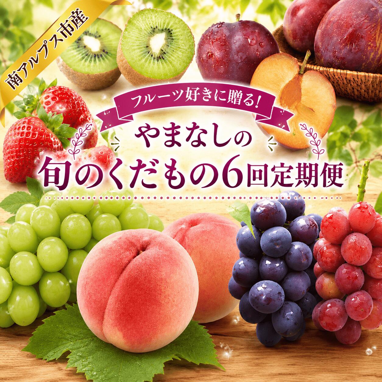 【ふるさと納税】【通年受付予約】フルーツ好きに贈る！やまなしの旬のくだもの6回定期便 ALPAJ074 ふるさと納税 葡萄 いちご 貴陽 すもも 桃 シャインマスカット キウイ キウイフルーツ 果物 フルーツ 詰め合わせ おすすめ 山梨県 南アルプス市 送料無料