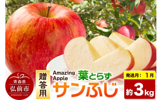 【27年1月発送】りんご 葉とらずサンふじ【贈答用】約3kg 先行受付 [先行予約 りんご サンふじ 葉とらず ふじ 3kg お歳暮 お中元 ギフト 贈り物 贈答用 アップル おいしい 果実 果物 赤色 美味 葉っぱ 林檎 青森県 弘前市]