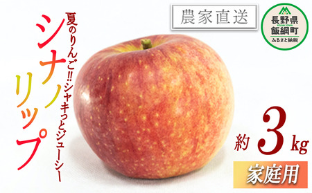 りんご 暑さに負けない 食べきりシナノリップ 家庭用 3kg 大友農場 エコファーマー認定 沖縄県への配送不可 2025年8月中旬頃から2025年9月上旬頃まで順次発送予定 令和7年度収穫分 信州 果物 フルーツ リンゴ 林檎 長野 予約 農家直送 長野県 飯綱町 [1547]