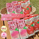 【ふるさと納税】飲む山形 ごちそうジュース 2種セット 18本入り F2Y-2250