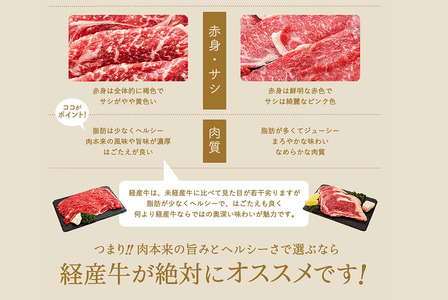 【累計2万パック突破！】但馬牛経産牛「焼肉用」（肩・モモ）1kg(500g×2)　020AA11N.／焼肉セット 黒毛和牛 いちかわ精肉店 経産牛 牛肉 国産 bbq バーベキュー 焼肉セット FN-