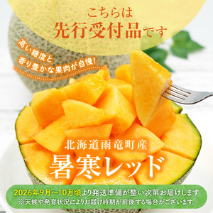北海道メロン 暑寒レッド 2玉 (3.2kg以上×1箱) 2026年9月発送赤肉  果物 フルーツの王様 春 夏 秋 冬 御中元 フルーツ 生ハム パフェ ケーキ デザート メロン ピューレ めろん 