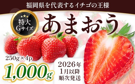 
            福岡県産 あまおう 約1000g前後（約250g×4）1月～3月発送  3KC1
          
