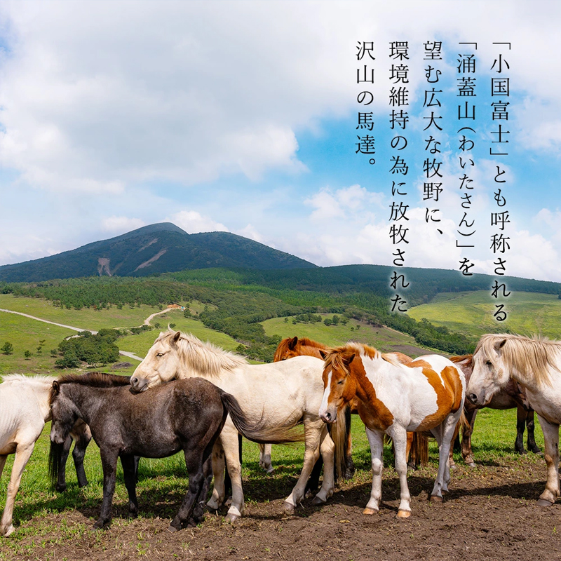 【阿蘇牧場】小国馬 霜降り馬刺し200g（専用醤油付き 150ml×1本）