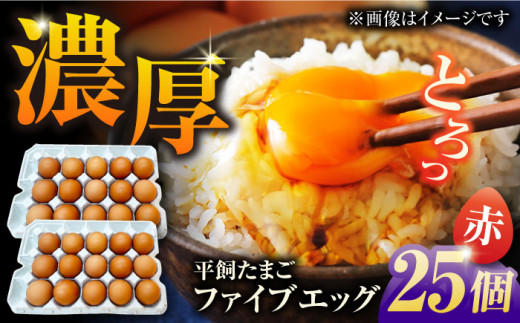 【箱入り】平飼たまご ファイブエッグ M～Lサイズ 25個 / 5EGG 卵 赤玉子 五島市 / 五島列島大石養鶏場 [PFQ035] 玉子 タマゴ 鶏卵 希少 五島列島