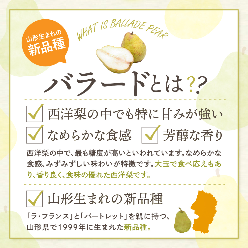 【令和7年産 先行予約】西洋梨バラード5kg 山形県 東根市 東根農産センター提供 hi027-190-1