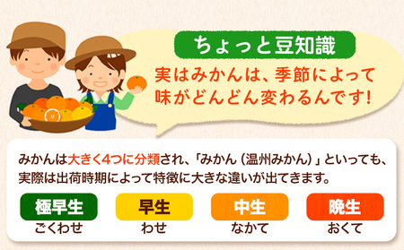 みかん王国和歌山よりお届け！【訳あり/サイズ不選別】 和歌山みかん 選べる 内容量 1.9kg 和歌山県産 先行予約 《2025年11月中旬-1月中旬頃出荷》たっぷり ご家庭用 2L～2S みかん 旬