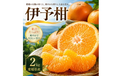 【安心して選べる】 爽やかジューシー 【伊予柑】2kg 愛媛県産 【2027年1月上旬頃から順次発送】 | みかん ミカン mikan みかん 蜜柑 訳ありフルーツ 柑橘 果物 おすすめ お勧め お取り寄せ ギフト 愛媛県 松山市