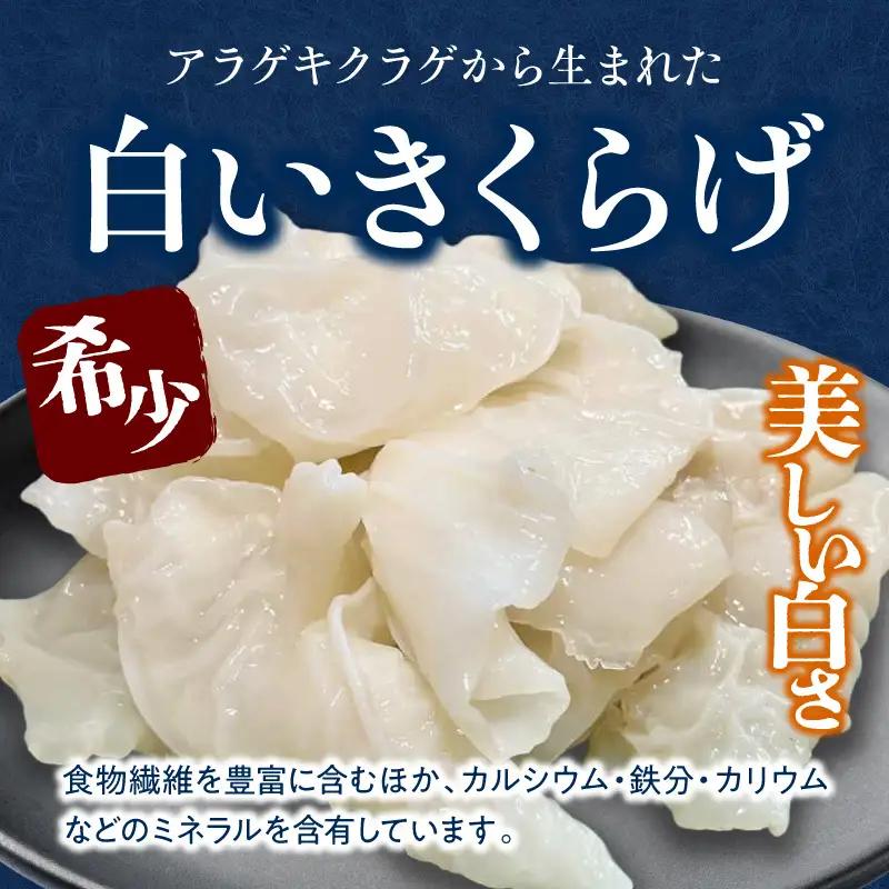 白いきくらげ「きくらげ姫」(乾燥タイプ)90g きくらげ 白いきくらげ 木耳