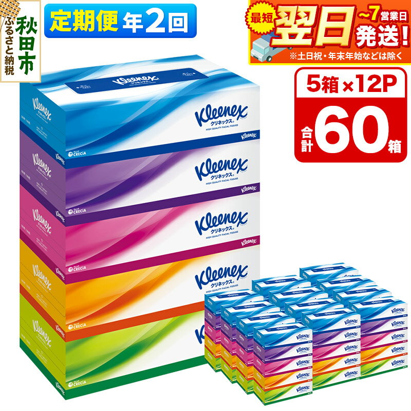 【ふるさと納税】《6ヶ月ごとに2回お届け》定期便 ティッシュ クリネックス ティシュー 5箱×12パック 最短翌日発送【レビューキャンペーン中】