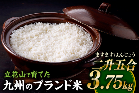 ZG192.立花山で育てた九州のブランド米・3.75キロ【二升五合（ますますはんじょう）】