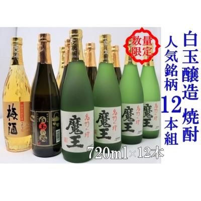 ふるさと納税 錦江町 【数量限定】白玉醸造　魔王4本入り　人気銘柄12本セット(4合瓶)No.6008-2　