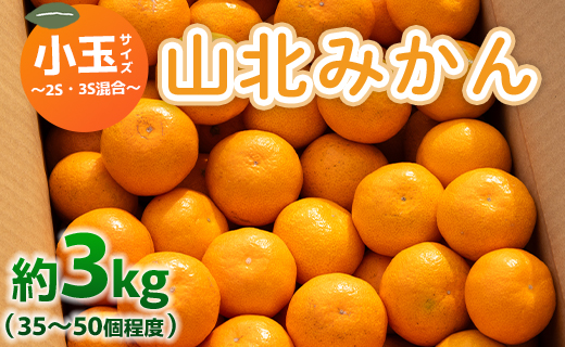 山北みかん 小玉サイズ(2S,3Sサイズ) 3kg 約35～50個入り 甘い - 果物 フルーツ 柑橘類 温州みかん ミカン 蜜柑 甘い おいしい 美味しい 山北みらい 高知県 香南市 yk-0048