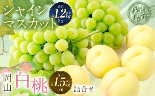 桃 ぶどう 2026年 先行予約 岡山 白桃 5玉 と シャイン マスカット 2房 詰合せ 合計2.7kg以上 【2026年7月上旬～8月上旬 発送予定】 もも モモ シャインマスカット 葡萄 ブドウ フルーツ 果物 果実 岡山県産 国産 ギフト 環山堂 岡山県 奈義町 冷蔵