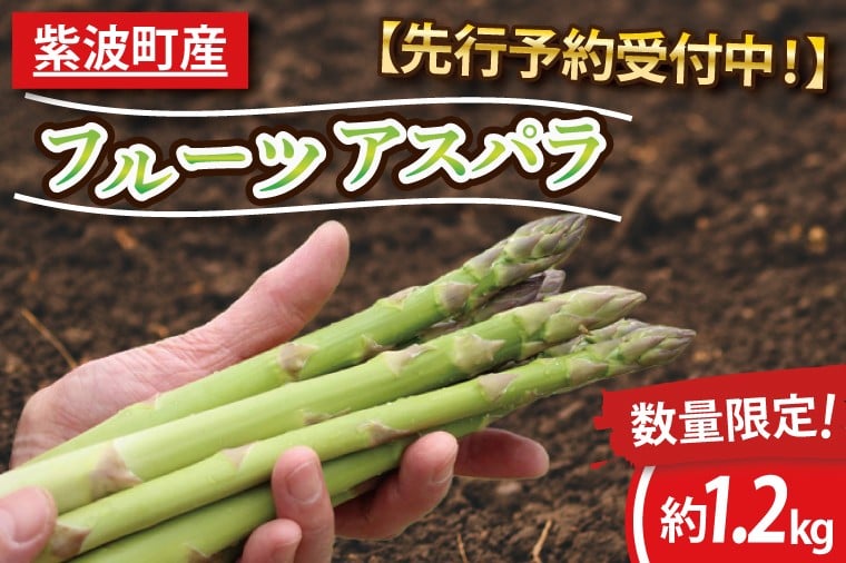 
                  ＼先行予約・数量限定／紫波町産フルーツアスパラ 約1.2kg 生でもたべれる 新鮮野菜 木酢液防虫 露地栽培の野菜 (CS002)
                