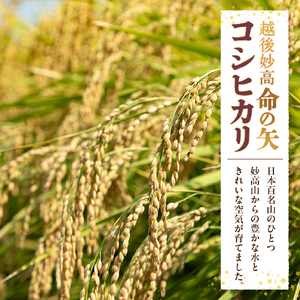 【先行予約】令和7年産 越後妙高命の矢 コシヒカリ 5.1kg 新潟県 上越 妙高産 米どころ 白米 精米 コメ お米 こめ ご飯 ごはん ライス 弁当 小分け 大容量 お取り寄せ 送料無料 妙高市