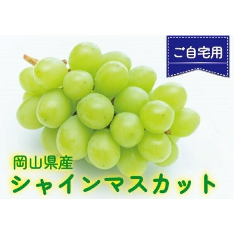 【ふるさと納税】ここちとふぁーむ　【ご自宅用】　岡山県産　シャインマスカット　4～5房　2.3kg以上【9月中旬～10月中旬頃順次発送予定】/　果物 くだもの フルーツ 葡萄 ぶどう シャインマスカット 岡山県産