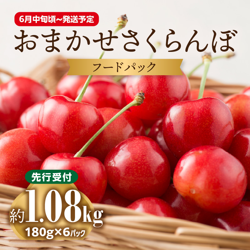 ≪先行予約≫さくらんぼ 佐藤錦 1.2kg (200g×6) 秀品 Lサイズ【2026年6月中旬頃～発送予定】【山形県産さくらんぼ】