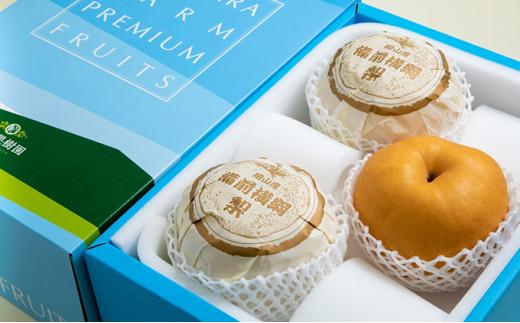 梨 2024年 先行予約 備前横綱梨（あたご梨） 超大玉3玉（1玉1.3kg～1.4kg）贈答箱 ナシ なし 岡山県産 国産 フルーツ 果物 ギフト 石原果樹園 [No.5220-0838]