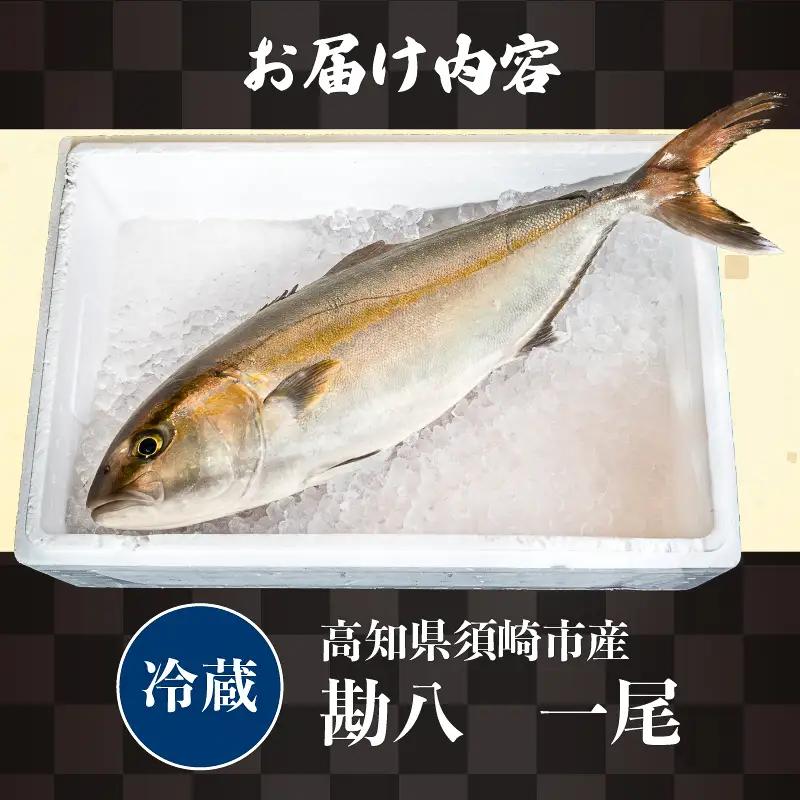 【カンパチ】カンパチ丸ごと１本（ラウンド）