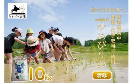 【 令和7年産 】 栽培期間中農薬不使用 ゆめぴりか （ 玄米 ） 10kg 北海道 鷹栖町 たかすのお米 コメ こめ ご飯