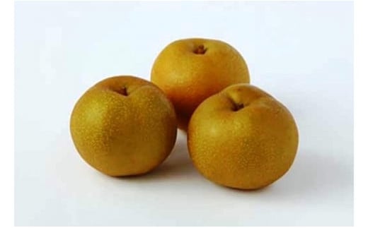 【2026年発送】さとう果樹園のくだものフェアＡ【6月･9月･11月定期便】