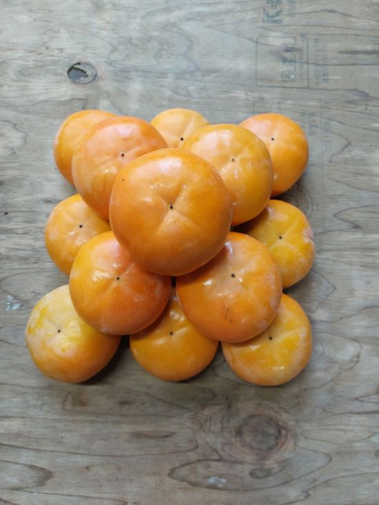 
            79.富有柿【杉本農園】
          