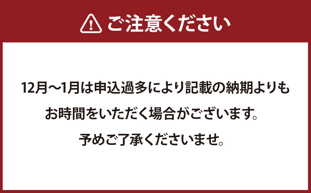 【限定1】本べっ甲 念珠 黒玉 大 ／ 鼈甲 べっこう べっ甲 デザイン アクセサリー 念珠 数珠 長崎県 長崎市