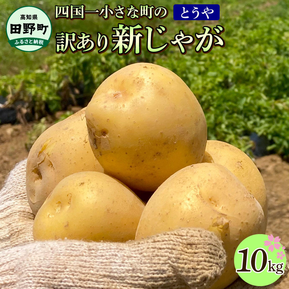 【ふるさと納税】★先行受付：2025年5月発送開始★大野台地で採れた 令和7年産新じゃがいも『とうや』10kg 訳あり品 10キロ トウヤ イモ 新じゃが ジャガイモ 芋 いも ポテト 野菜 おいしい なめらか 旬 国産 お取り寄せ 常温 配送 送料無料 高知県 田野町 故郷納税 返礼品